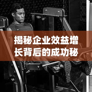揭秘企業(yè)效益增長(zhǎng)背后的成功秘訣，企業(yè)成功之路圖解析