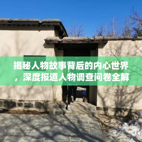揭秘人物故事背后的內(nèi)心世界，深度報(bào)道人物調(diào)查問卷全解析