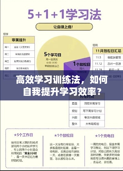 高效學習訓練法，如何自我提升學習效率？