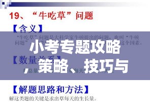 小考專題攻略，策略、技巧與知識(shí)要點(diǎn)一網(wǎng)打盡