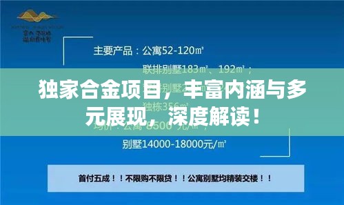 獨(dú)家合金項(xiàng)目，豐富內(nèi)涵與多元展現(xiàn)，深度解讀！