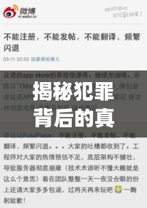 揭秘犯罪背后的真相，抓碼王獨(dú)家爆料