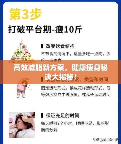 高效減脂新方案，健康瘦身秘訣大揭秘！