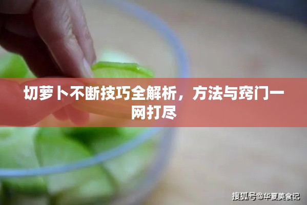 切蘿卜不斷技巧全解析，方法與竅門一網(wǎng)打盡
