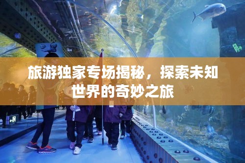 旅游獨家專場揭秘，探索未知世界的奇妙之旅