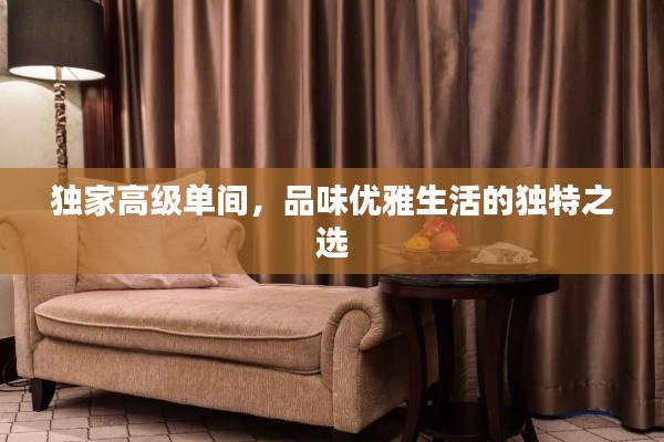 獨家高級單間，品味優(yōu)雅生活的獨特之選