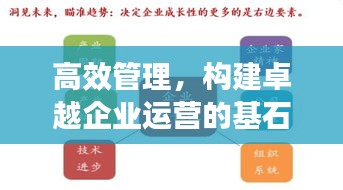 高效管理，構(gòu)建卓越企業(yè)運(yùn)營的基石之道