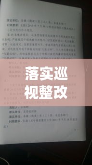 落實(shí)巡視整改的內(nèi)容：落實(shí)巡視整改意見 