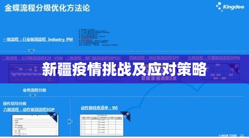 新疆疫情挑戰(zhàn)及應(yīng)對(duì)策略