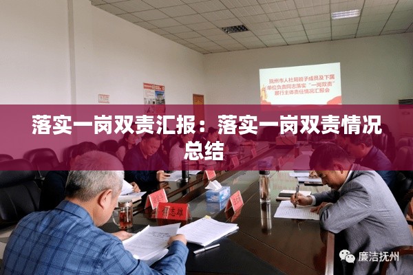 落實一崗雙責匯報：落實一崗雙責情況總結(jié) 