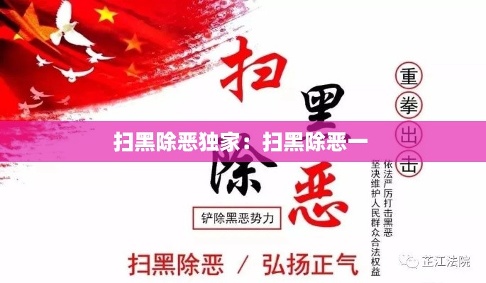 掃黑除惡獨(dú)家：掃黑除惡一 