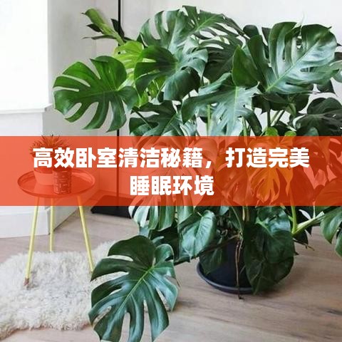 高效臥室清潔秘籍，打造完美睡眠環(huán)境