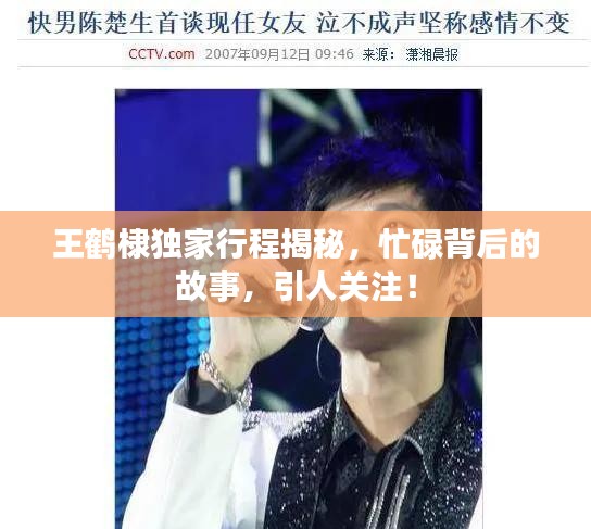 王鶴棣獨(dú)家行程揭秘，忙碌背后的故事，引人關(guān)注！