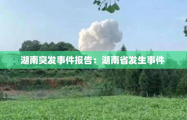 湖南突發(fā)事件報(bào)告：湖南省發(fā)生事件 