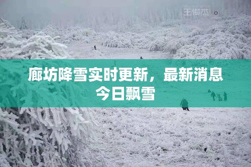 廊坊降雪實時更新，最新消息今日飄雪