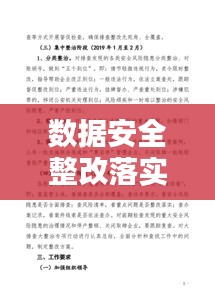 數(shù)據(jù)安全整改落實：數(shù)據(jù)安全風險排查和問題整改專項行動報告 