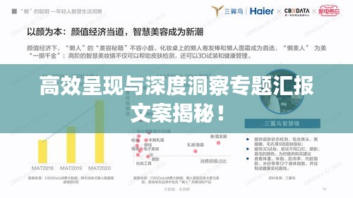 高效呈現(xiàn)與深度洞察專題匯報(bào)文案揭秘！