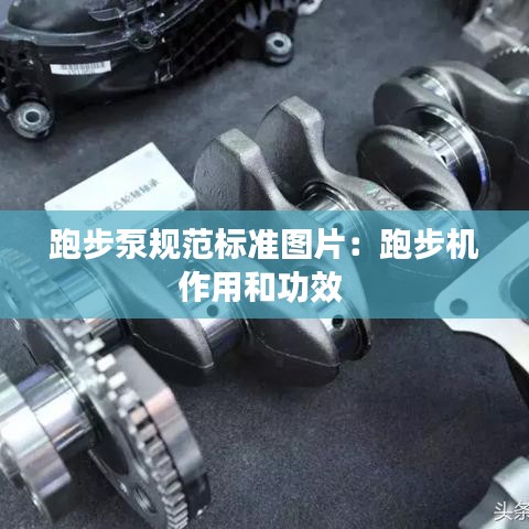 衣不完采 第3頁(yè)