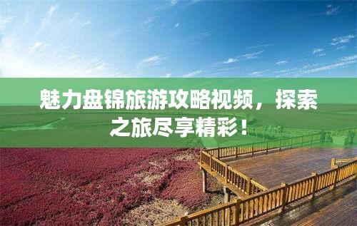 魅力盤(pán)錦旅游攻略視頻，探索之旅盡享精彩！