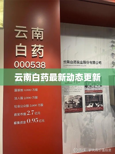 云南白藥最新動(dòng)態(tài)更新