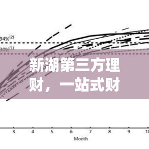 新湖第三方理財(cái)，一站式財(cái)富管理，打造您的理想投資新選擇！