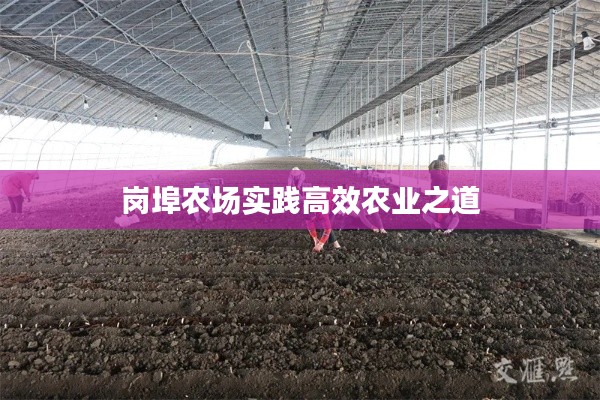崗埠農(nóng)場(chǎng)實(shí)踐高效農(nóng)業(yè)之道