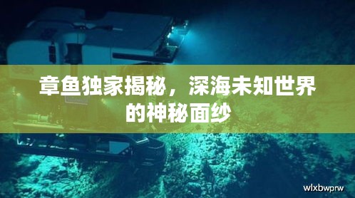 章魚(yú)獨(dú)家揭秘，深海未知世界的神秘面紗