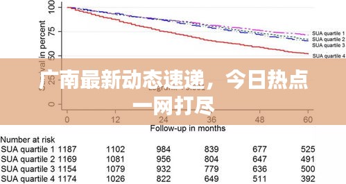 廣南最新動(dòng)態(tài)速遞，今日熱點(diǎn)一網(wǎng)打盡