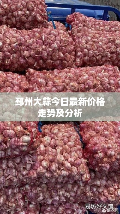 邳州大蒜今日最新價(jià)格走勢(shì)及分析