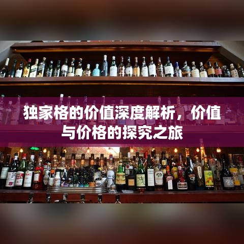 獨(dú)家格的價值深度解析，價值與價格的探究之旅