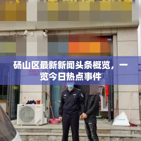碭山區(qū)最新新聞?lì)^條概覽，一覽今日熱點(diǎn)事件