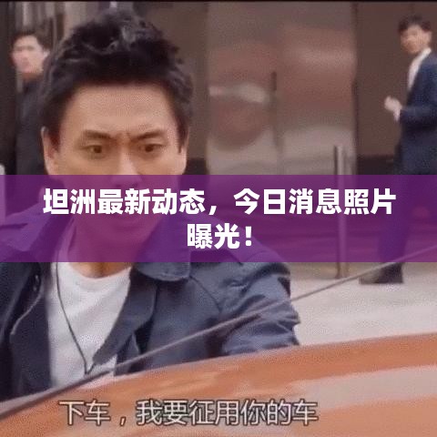 坦洲最新動態(tài)，今日消息照片曝光！