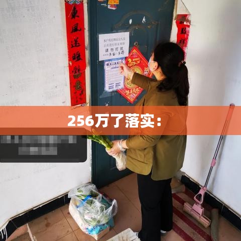 256萬(wàn)了落實(shí)： 