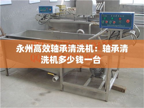 永州高效軸承清洗機(jī)：軸承清洗機(jī)多少錢(qián)一臺(tái) 