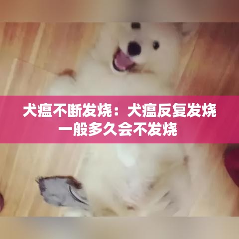 犬瘟不斷發(fā)燒：犬瘟反復發(fā)燒一般多久會不發(fā)燒 