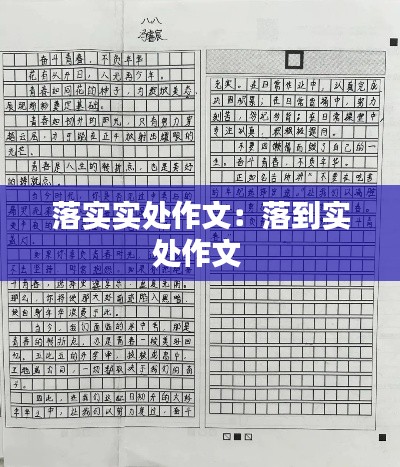落實(shí)實(shí)處作文：落到實(shí)處作文 