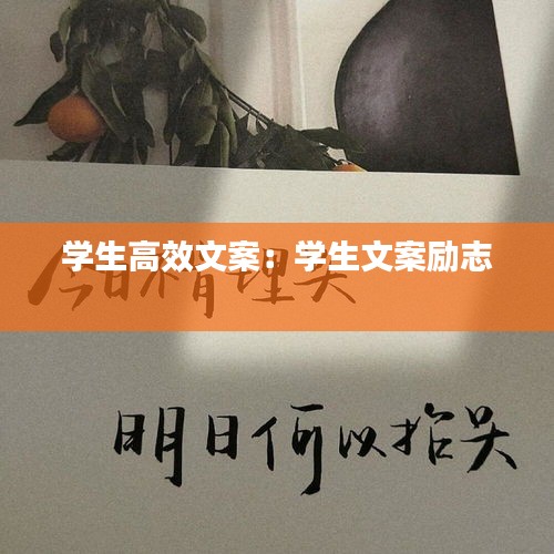 學(xué)生高效文案：學(xué)生文案勵(lì)志 