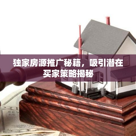 獨(dú)家房源推廣秘籍，吸引潛在買家策略揭秘