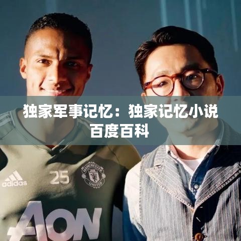 獨(dú)家軍事記憶：獨(dú)家記憶小說百度百科 