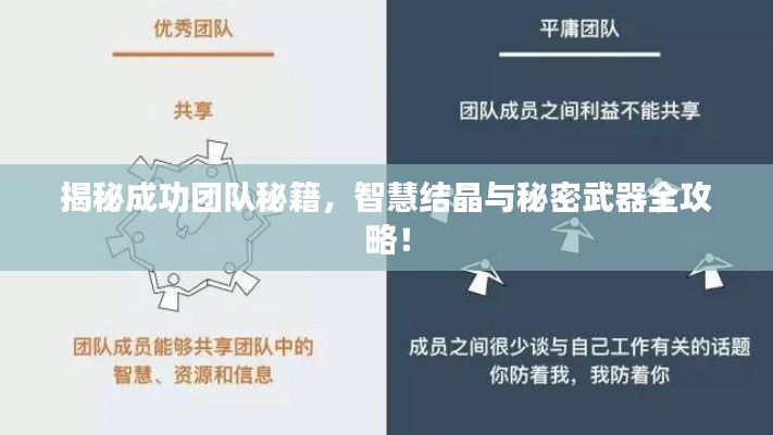 揭秘成功團(tuán)隊(duì)秘籍，智慧結(jié)晶與秘密武器全攻略！