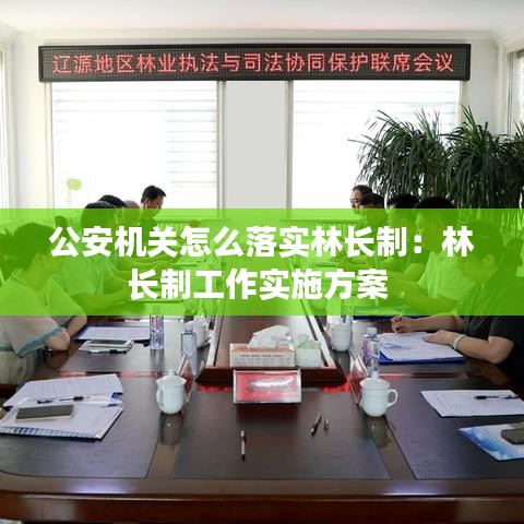 公安機關(guān)怎么落實林長制：林長制工作實施方案 