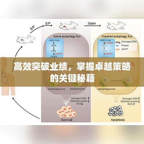 高效突破業(yè)績，掌握卓越策略的關(guān)鍵秘籍