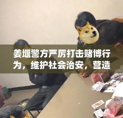 姜堰警方嚴(yán)厲打擊賭博行為，維護(hù)社會(huì)治安，營(yíng)造安全環(huán)境