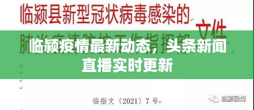 臨潁疫情最新動態(tài)，頭條新聞直播實(shí)時(shí)更新