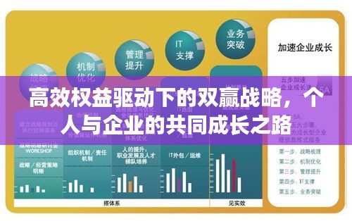 高效權(quán)益驅(qū)動下的雙贏戰(zhàn)略，個人與企業(yè)的共同成長之路