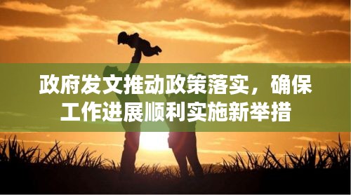 政府發(fā)文推動(dòng)政策落實(shí)，確保工作進(jìn)展順利實(shí)施新舉措