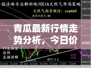 青瓜最新行情走勢(shì)分析，今日價(jià)格揭秘