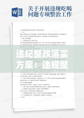 違紀(jì)整改落實(shí)方案：違規(guī)整改報告 