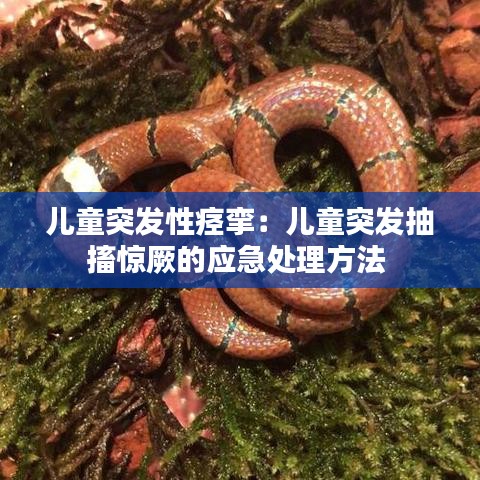 兒童突發(fā)性痙攣：兒童突發(fā)抽搐驚厥的應(yīng)急處理方法 