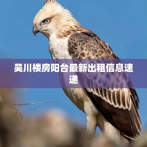 千里迢迢 第3頁(yè)